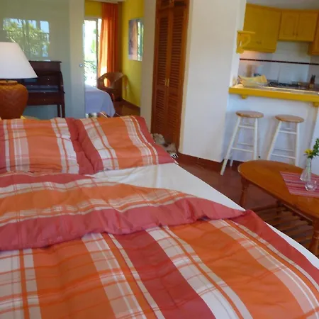 Apartamento Schoene Mit Garten In Puerto de la Cruz (Tenerife)